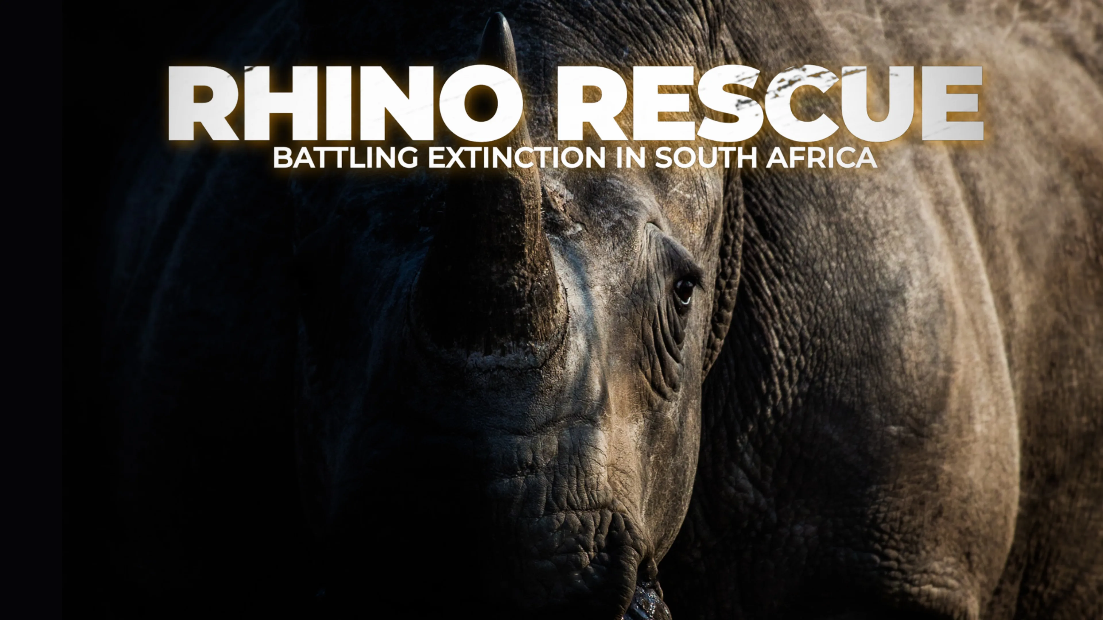 Rhino Rescue: Battling Extinction In South Africa poster